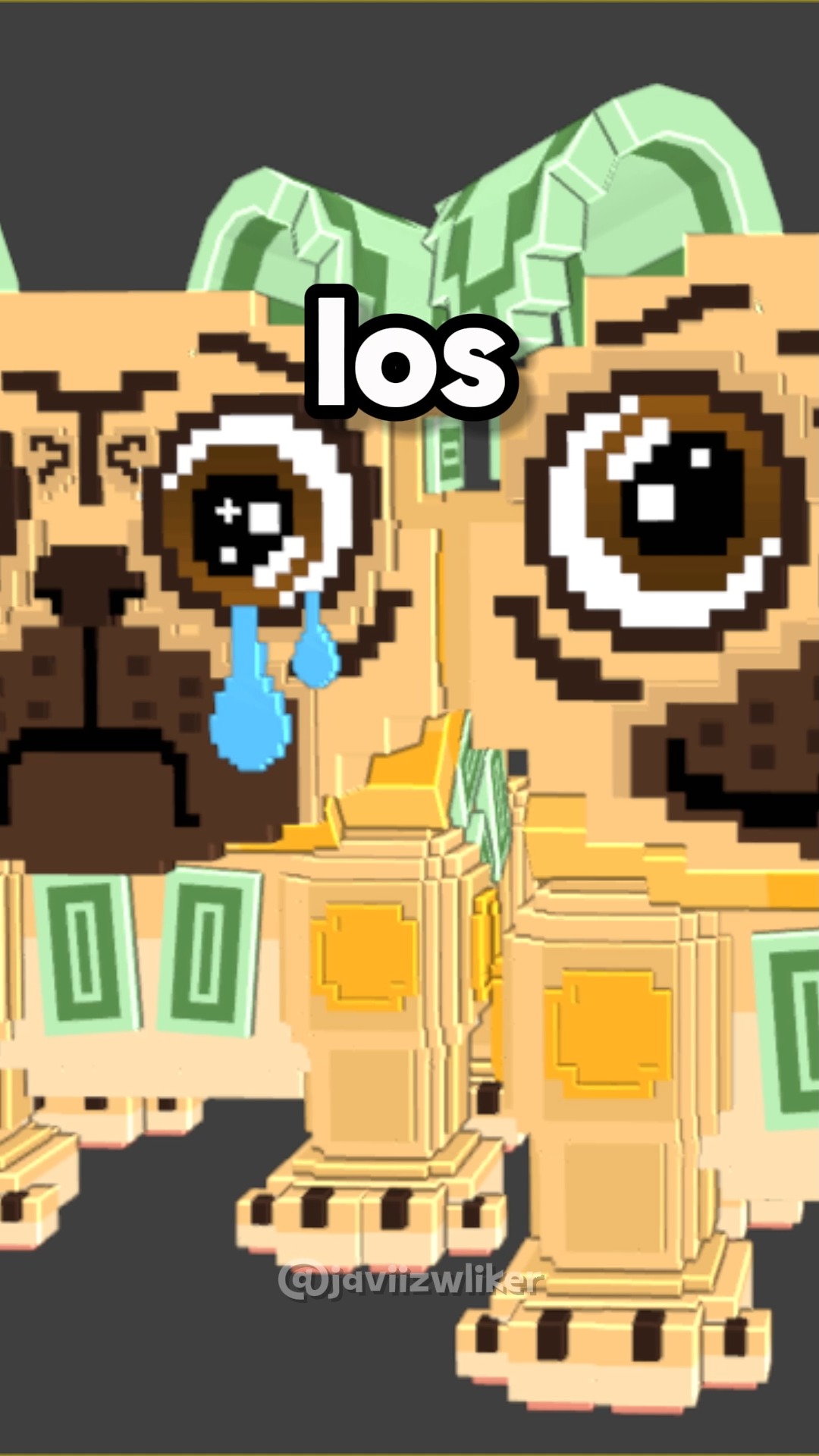 ¡Sammy acaba de revelar LOS MONEY MONEY PUGS! 😱💰 El nuevo ritual de ...