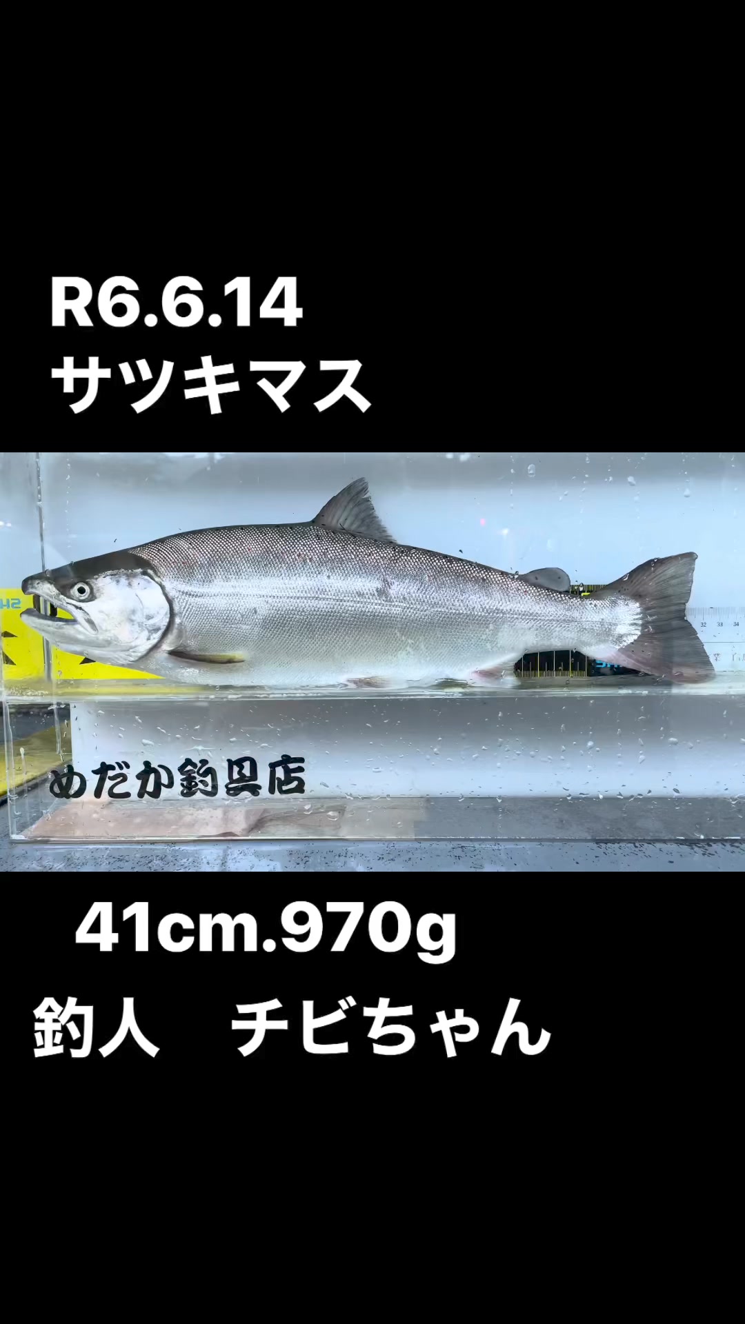 めだか 釣具 店