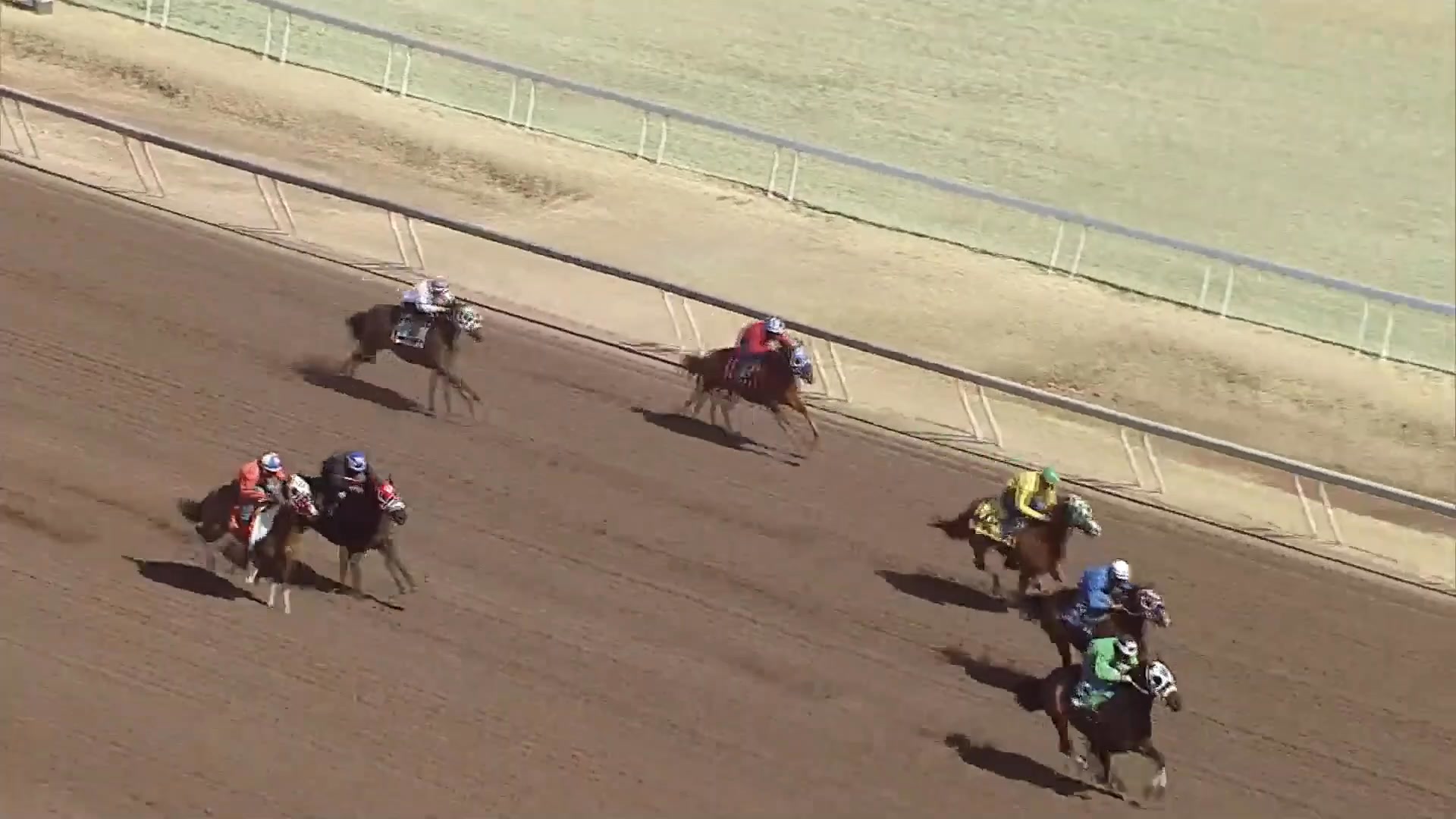 BURNS RANCH stallion MENTAL ERROR is red hot 🔥 as he sires a winner in ...