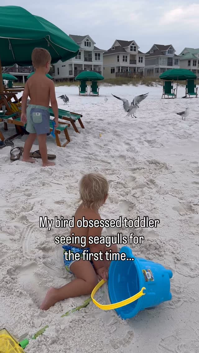 Clearly we still aren’t over our vacation lol! Thinking about getting ...