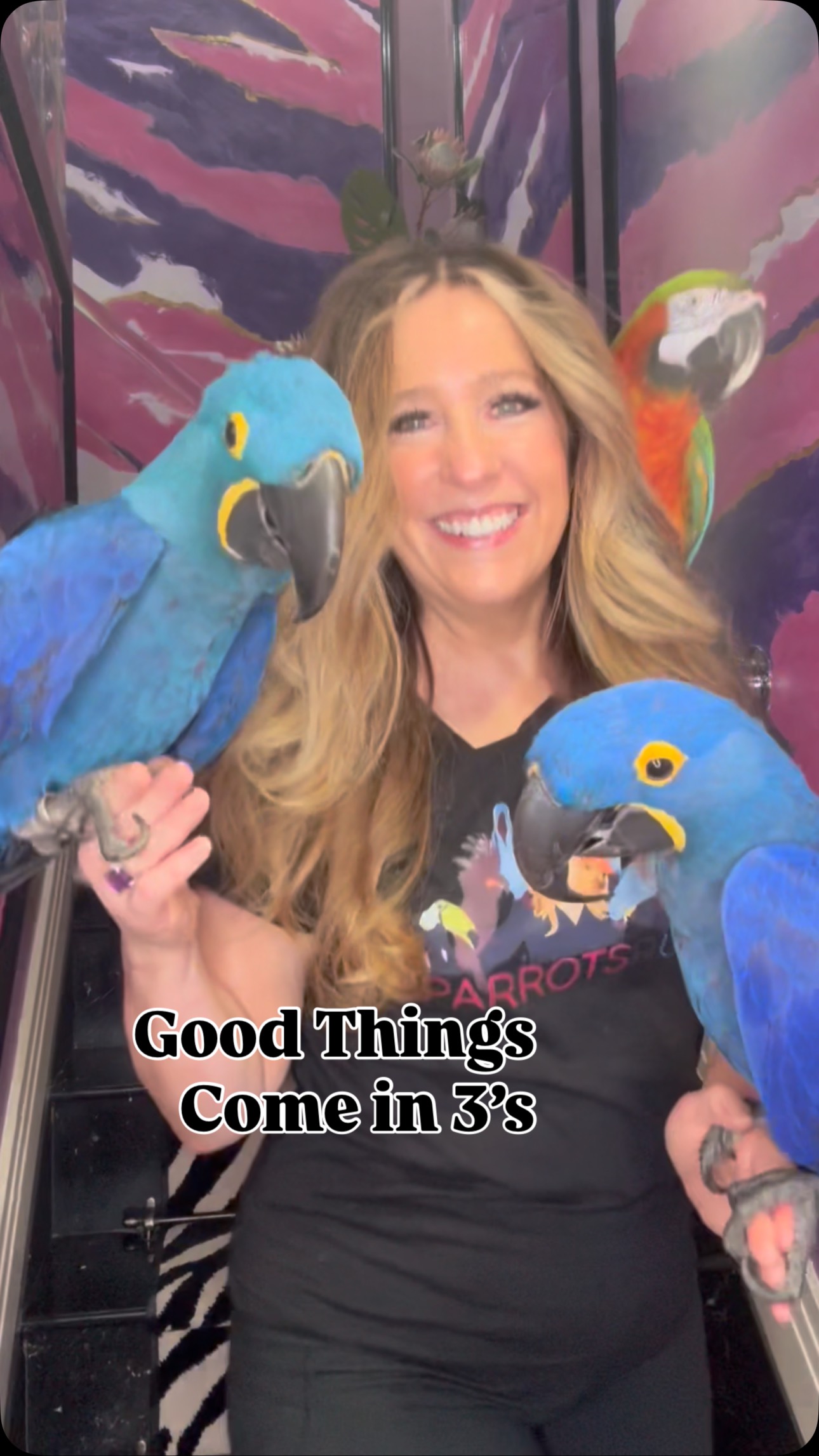 I already placed my order.... - A Helping Wing Parrot Rescue | Facebook