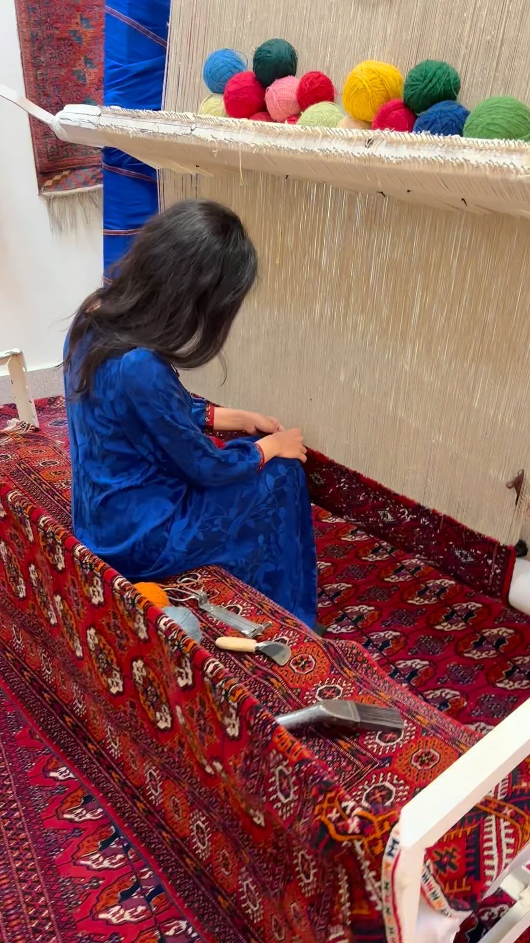 Turkmen Treasure Rugs