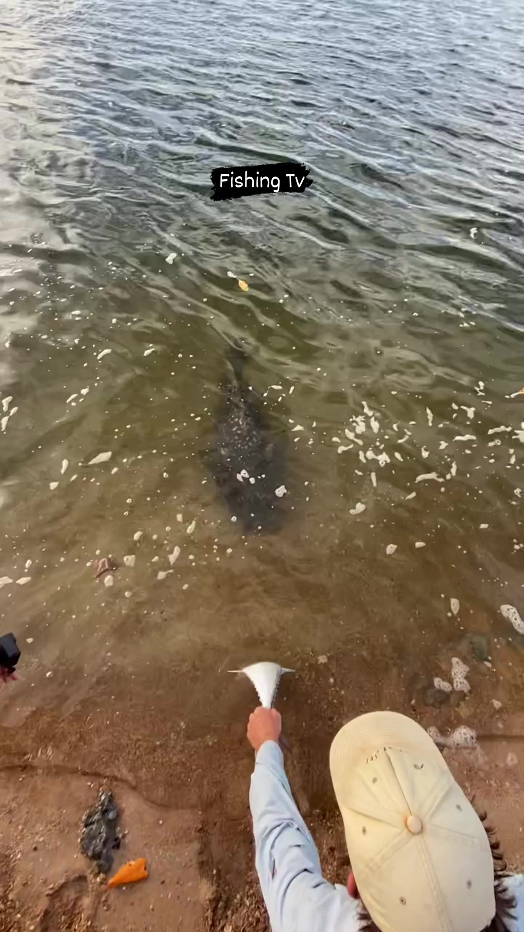 Giving fish to this big one. #viralreels #fbreels #fbreel #viralvideos ...