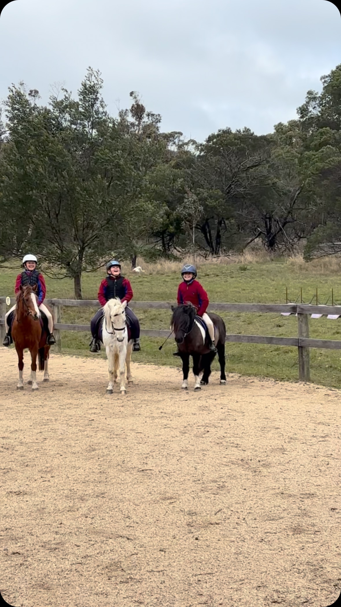 Thank you to….. ⭐️Giddy Up Girl⭐️ For over 21 years, Giddy Up Girl has ...