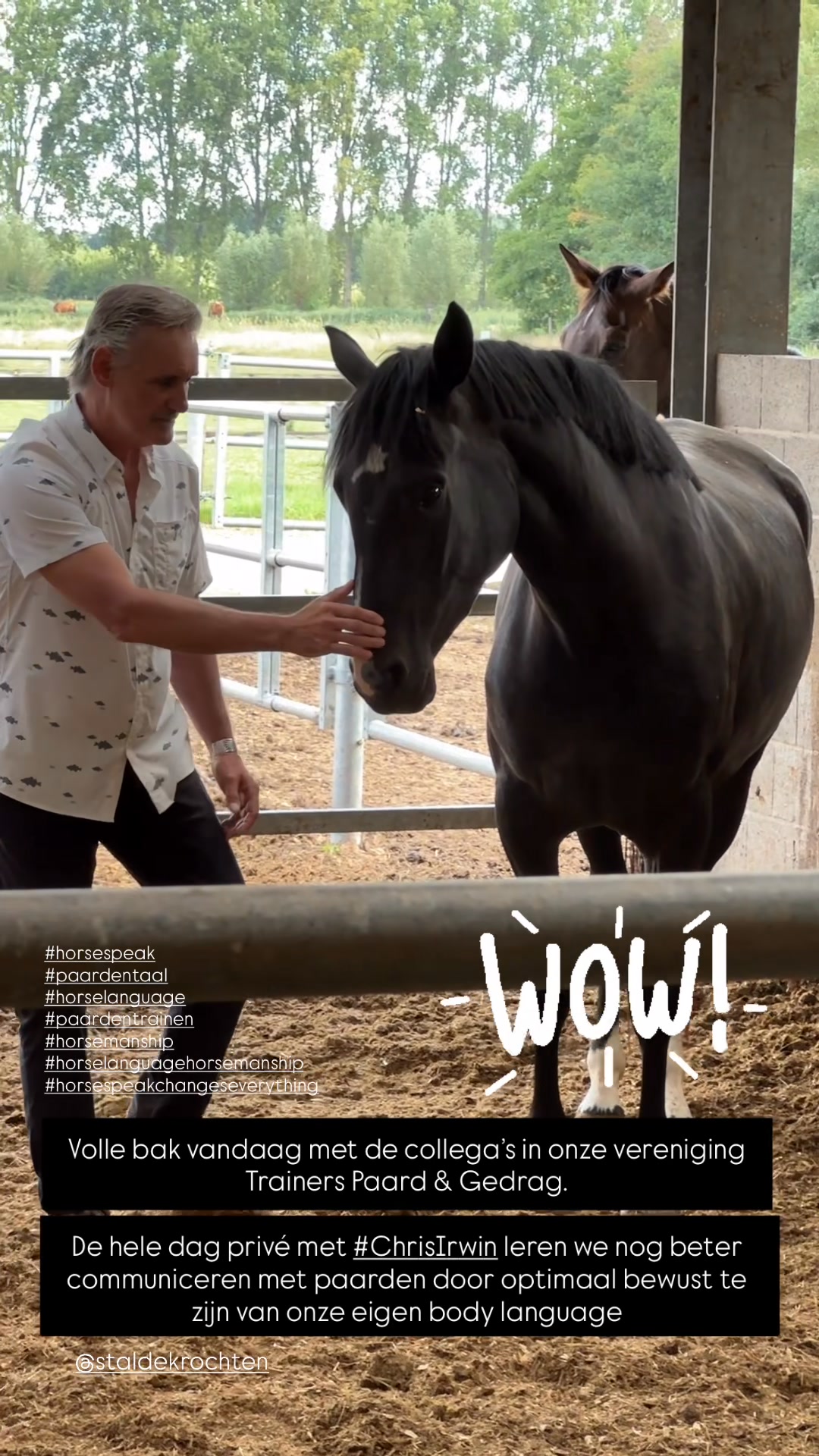 Trainers paard en gedrag - Vandaag stellen we één van de trainers van ...