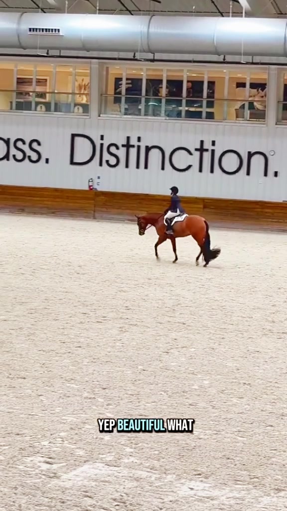 Let’s watch the NEW English Versatility class!🐴 Quarter Horse Assn # ...