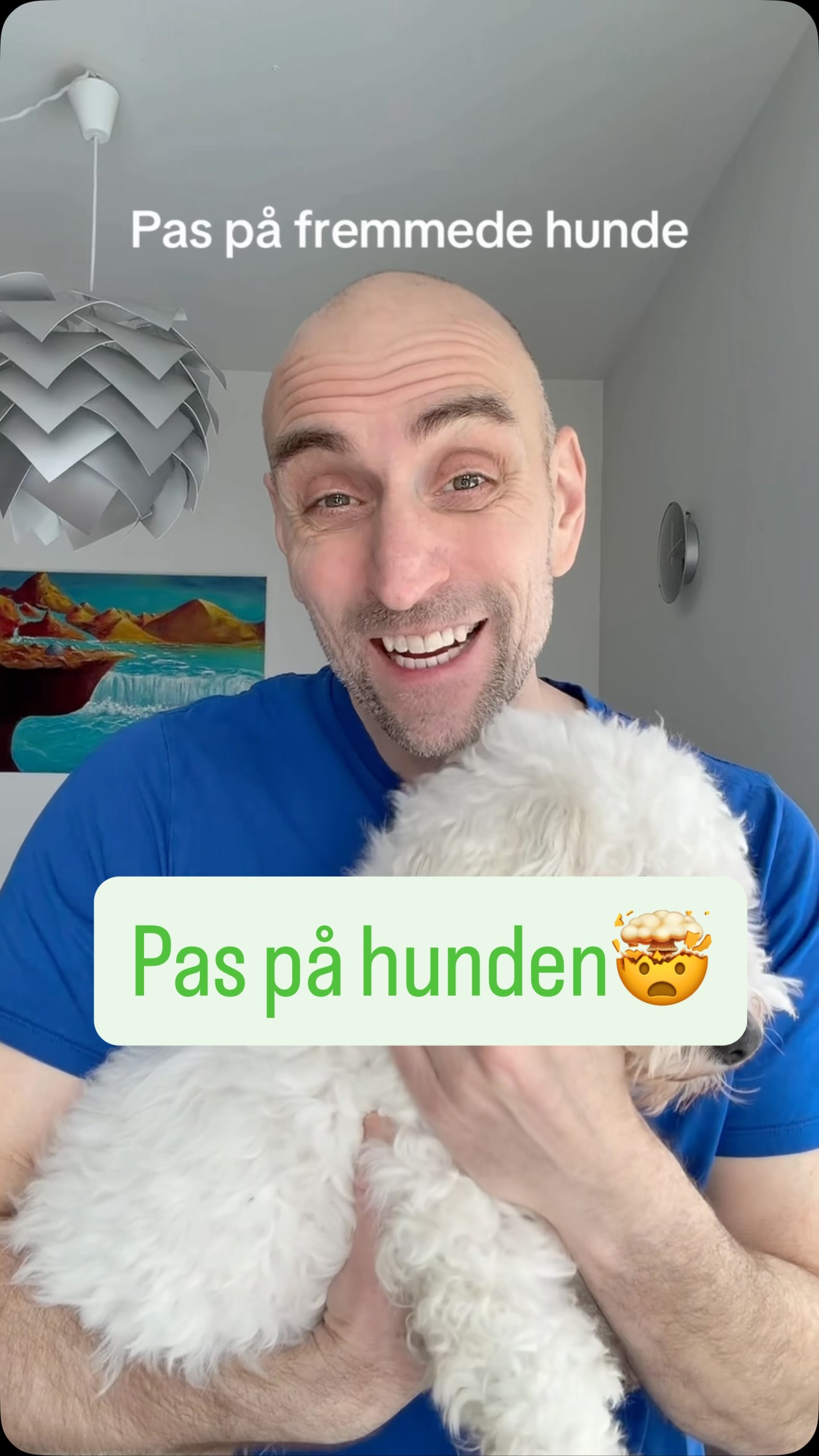 Pas på fremmede hunde🤯#danskhumor #joke #viralvideos #jokes Sæt ikke ...