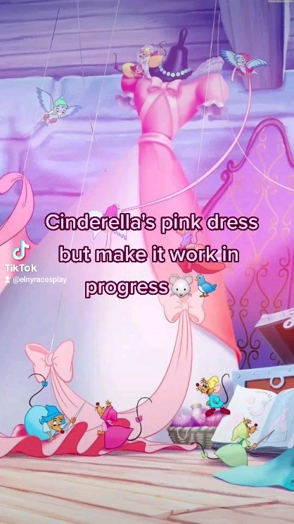 open lace back dress Cinderella's Pink Dress Music