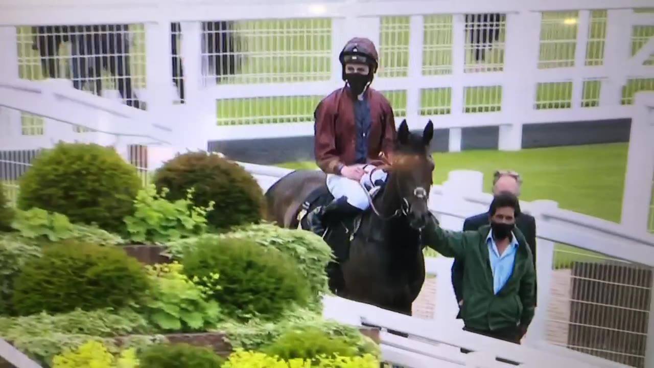 Ivatheengine WINs at Newmarket Racecourse in the Heed Your Hunch Betway ...