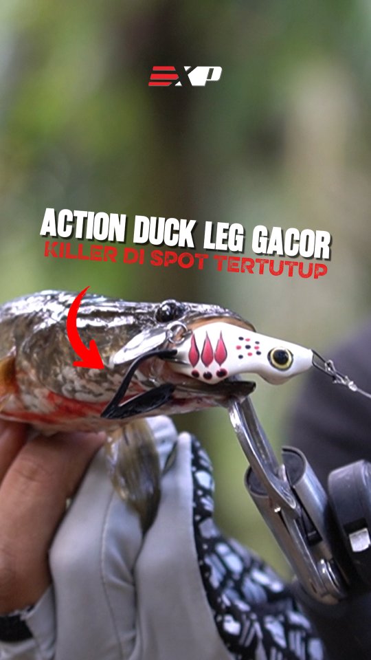 Kalau umpan kelihatan kaku, ikan cuma ngintip lalu kabur 👀🐟 KILLER V3 ...