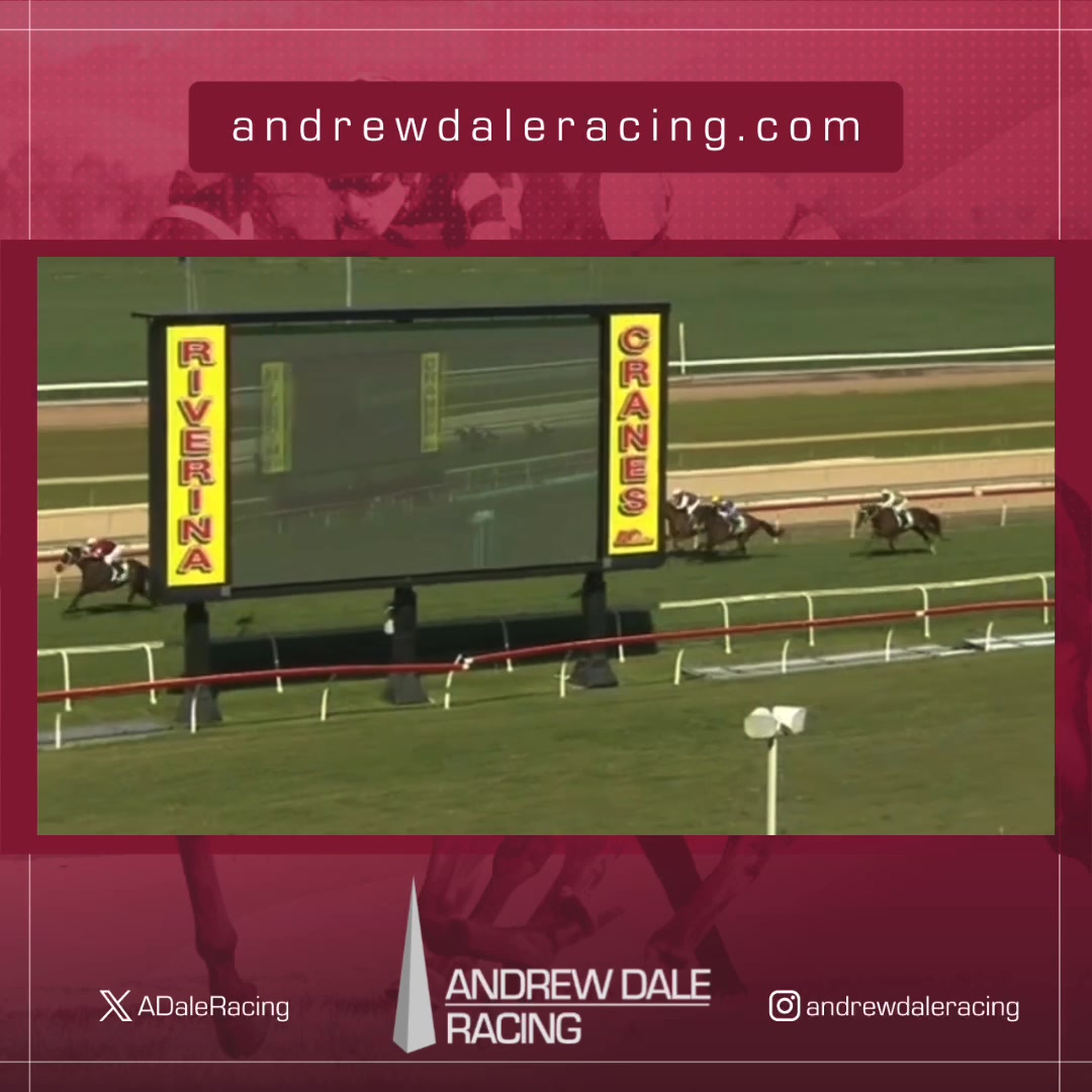 Bellman was simply too good at Wagga — cruising to an effortless four ...