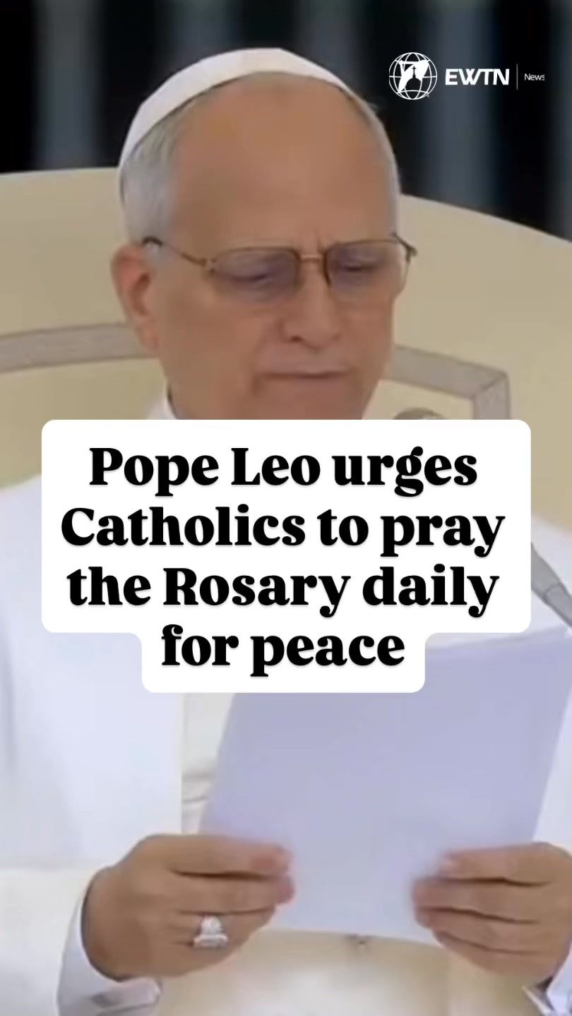 At the General Audience, Pope Leo XIV urged Catholics to pray the ...