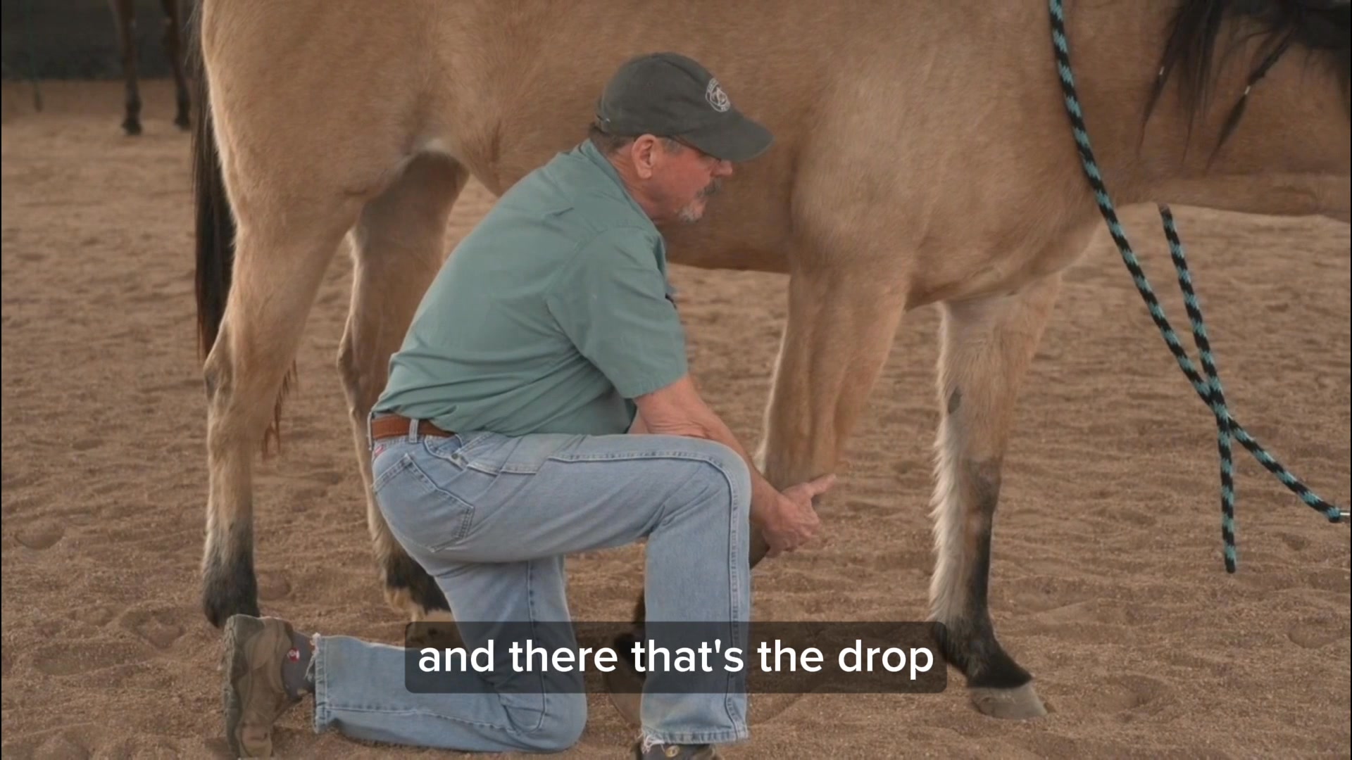 Why Wednesday ~ I enjoy practicing The Masterson Method with my horse ...