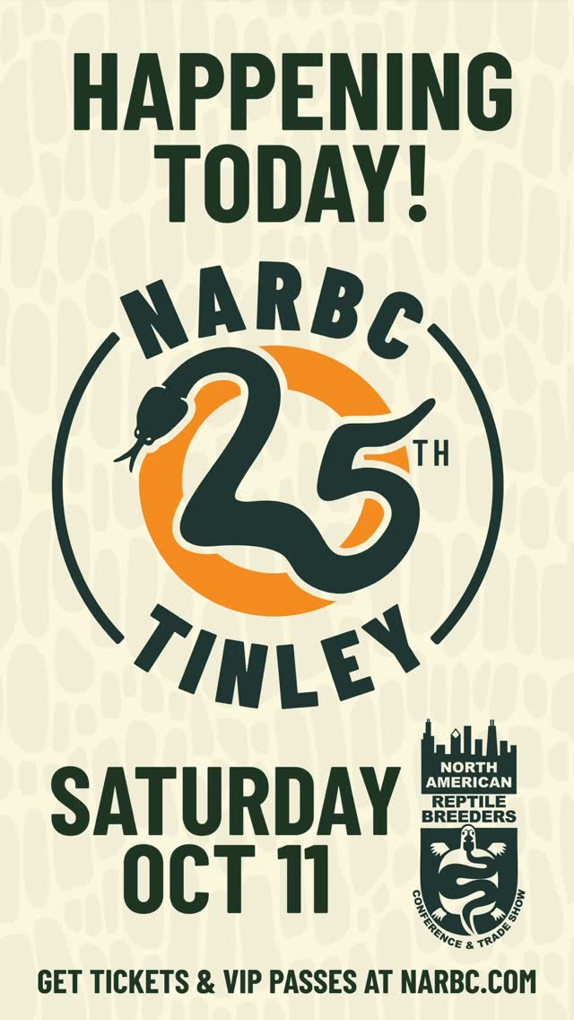 🎉 The wait is OVER — Tinley Park Kickoff Day is HERE! 🐍🔥 We’re ...