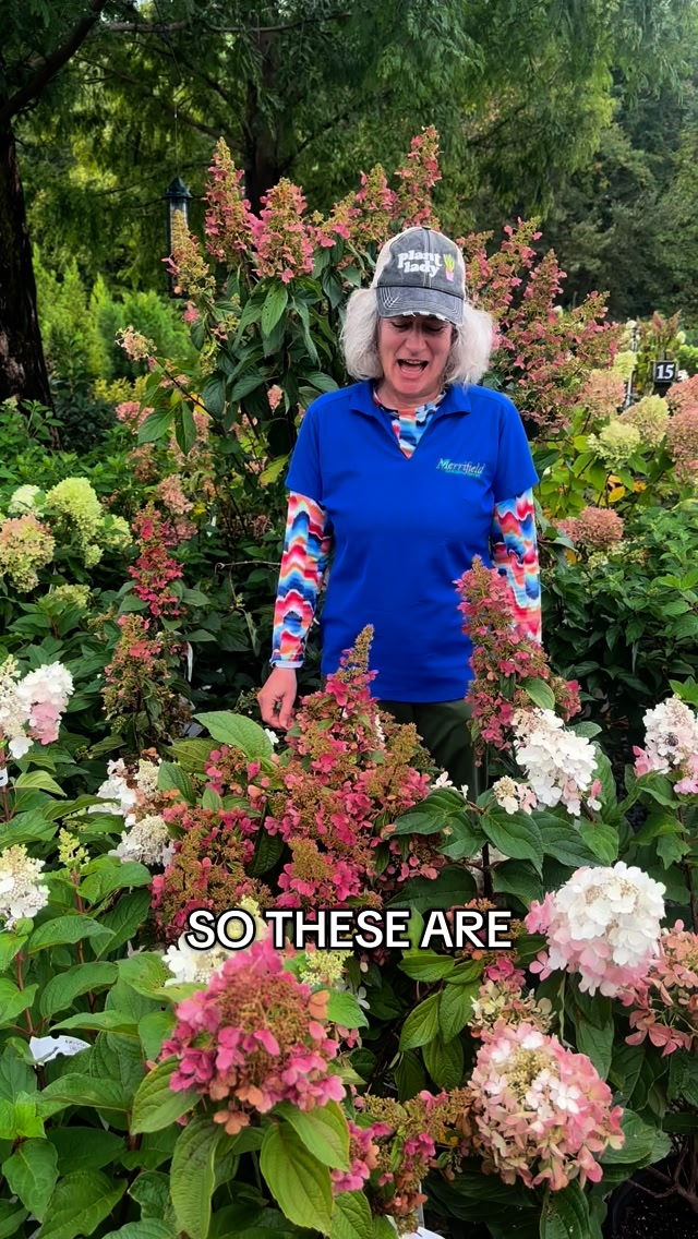 Merrifield Garden Center