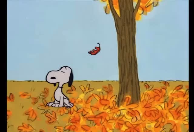 It’s almost October 🍂🍁🥮🎃 #peanutsclips #snoopy #charlesschulz # ...