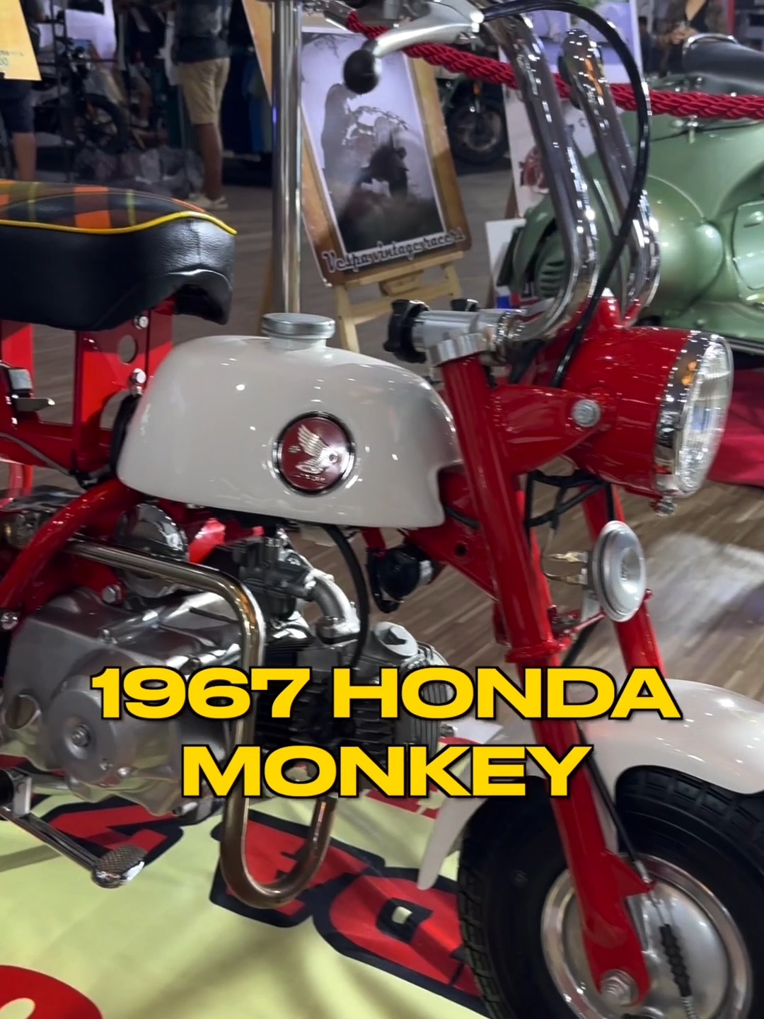 Honda Monkey & Grom Evolution (1961-2025) | From 1961 Z100 to the