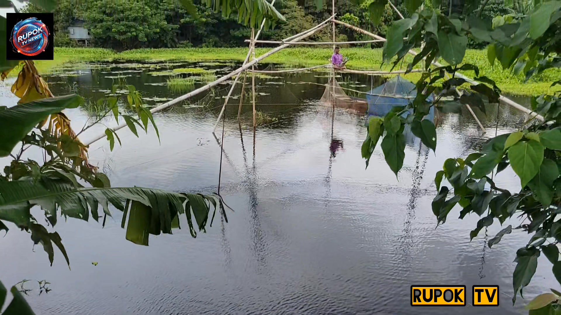 পাটাভোগ ইউনিয়নের কামারখোলা গ্রাম:যেন প্রকৃতির এক নৈসর্গিক রাজ্য। # ...