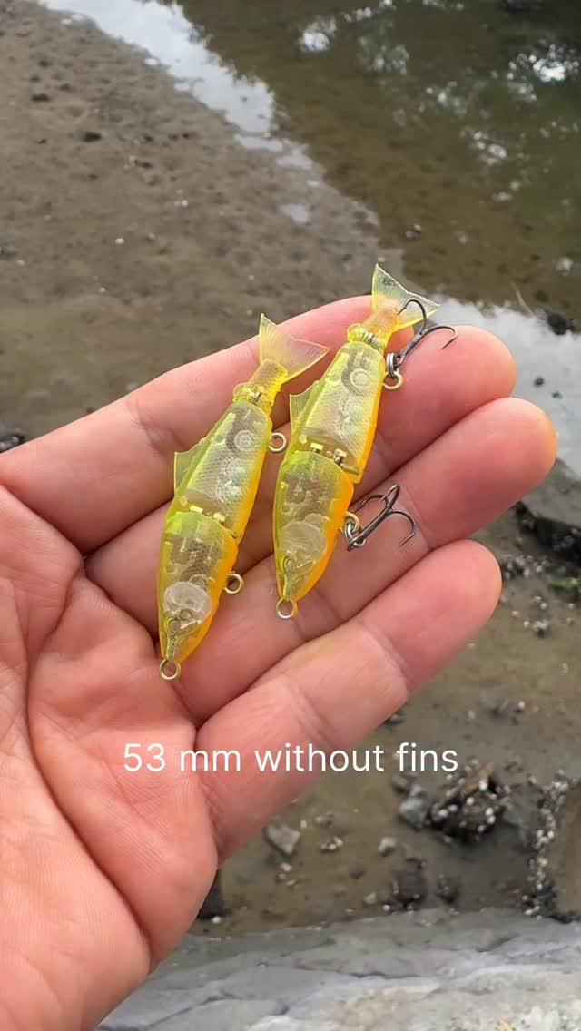 金色の大きい魚 小木管新 最終的に非常に滑らかな希望通りのアクションに仕上がりました。尾鰭を