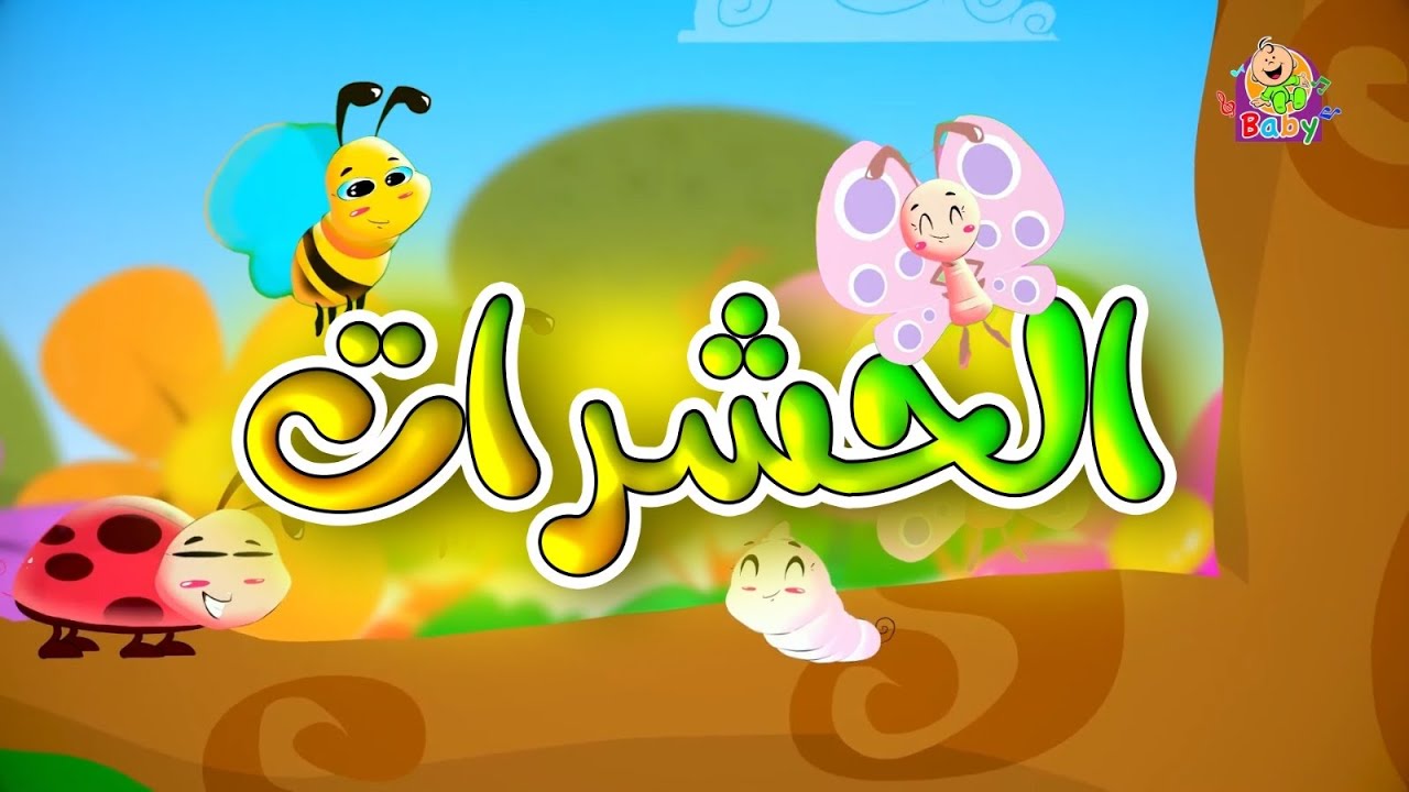 هيا نستمتع بمتابعة الفيديو الجديد الحشرات على قناة طيور بيبي😊. وقتاً ...