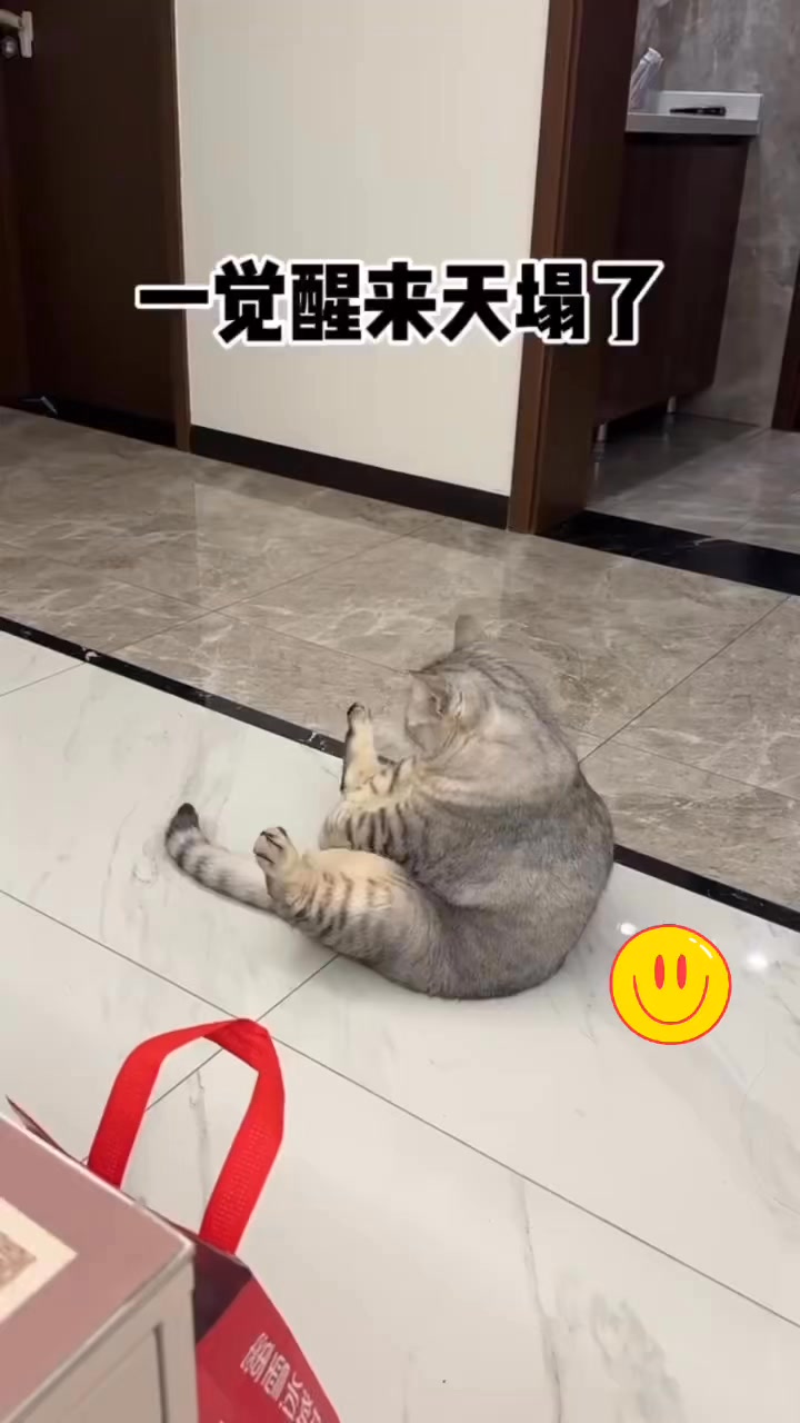 完了，一覺醒來天塌了#搞笑配音[話題]# #搞笑 #搞笑視頻 #funnyreels #funnyvideos #funny | 天天笑一笑 ...
