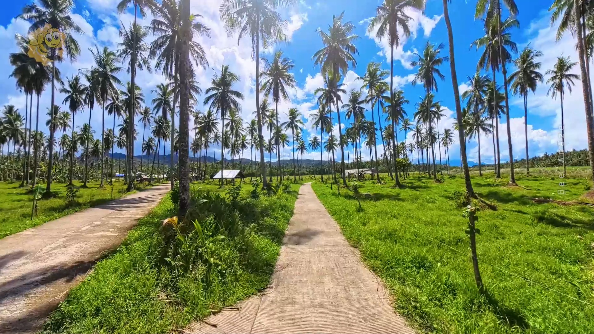 🏍 From rice and corn fields to village trails, this motorcycle ride ...