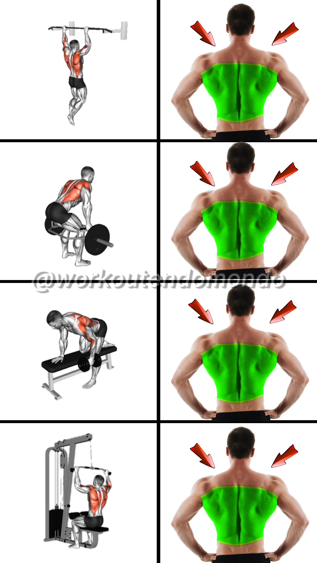 🚀 Build Your V-Taper Back with These 4 Moves! If you want that broad ...