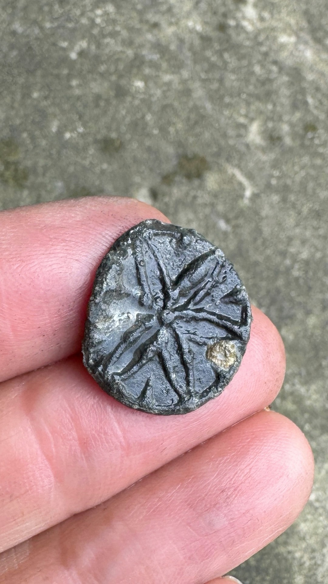 A lucky night time find, this early 18th century lead token has the ...