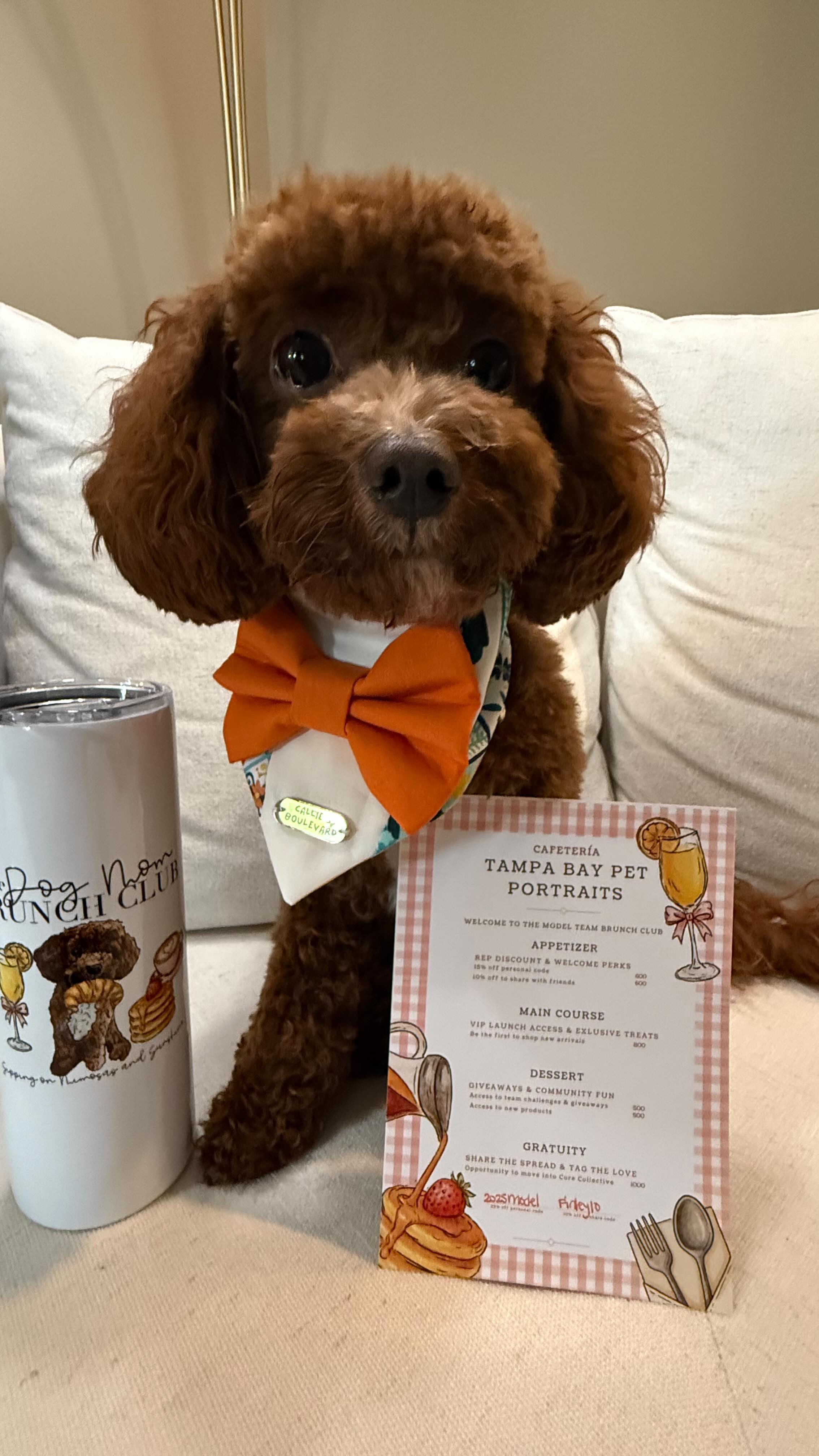 Where Finley leads wearing these adorable tags, I will definitely ...