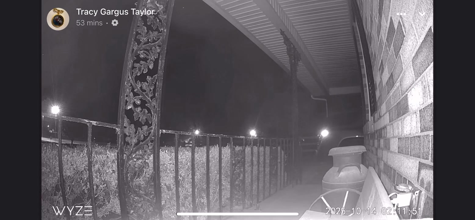 Check this out! A bright fireball lit up the sky around 2:10am Tuesday ...