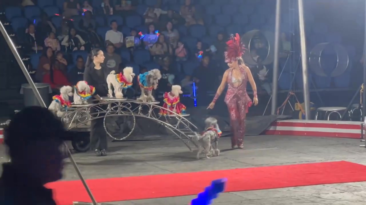 Jordan World Circus 2025-8 | Circus Fans Association of America