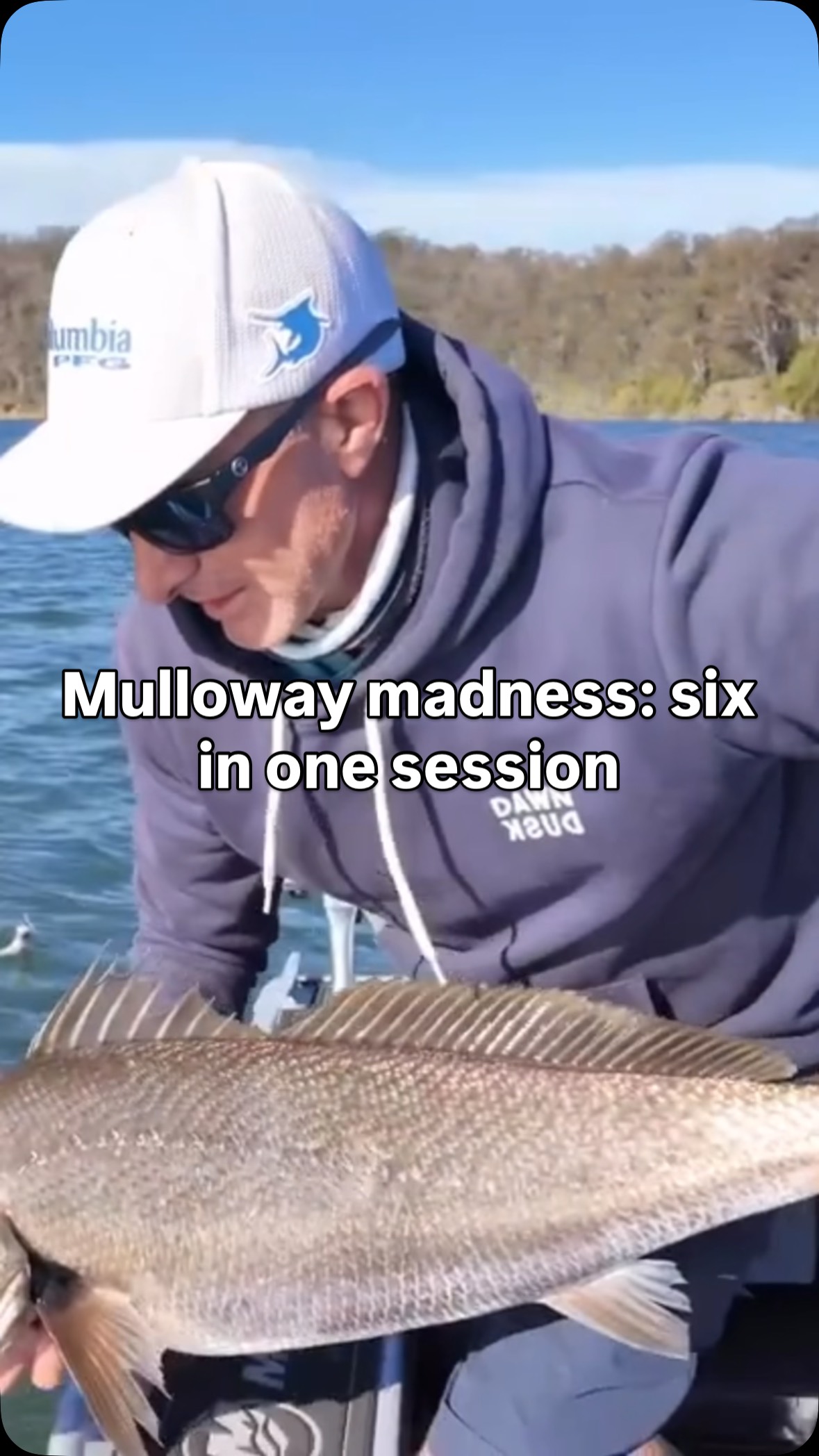 About six hours to catch one flathead, then caught six mulloway in ...