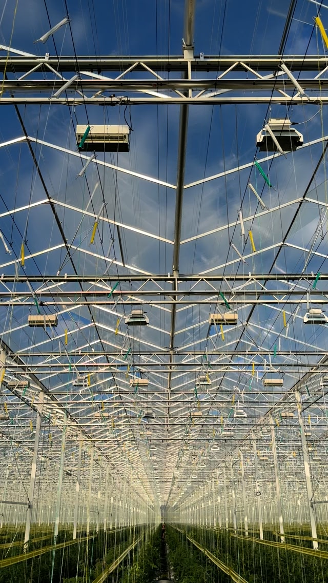 Ready to explore the future of farming in the Netherlands with me? Here ...