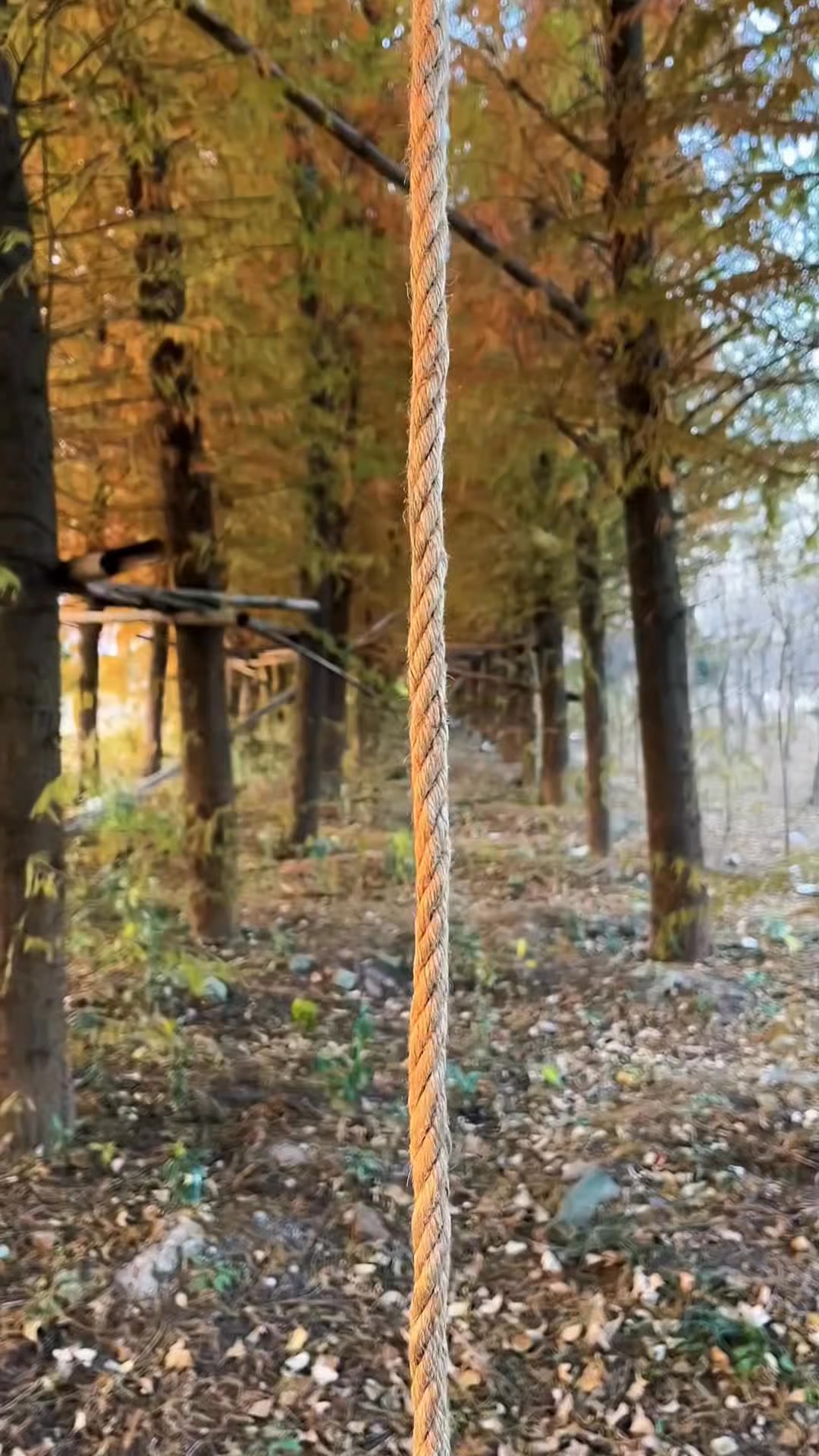 The Two-Stick Rope Trick You Need to Know #ropes #ropework # ...