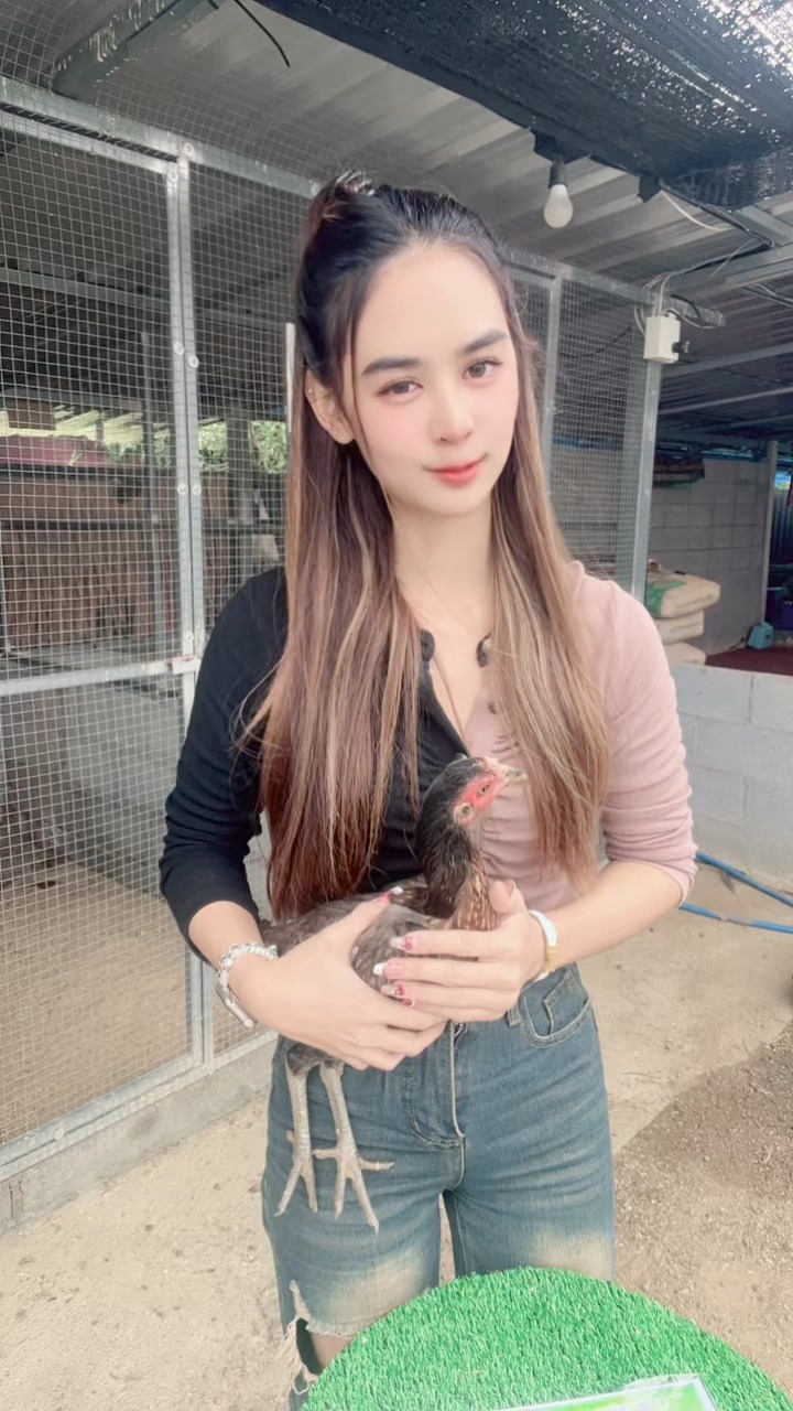 เดินทางเรียบร้อยร้อย ขอบคุณนะคร่า 💕🥰🐔📦🚛 | น้องฟ้า บ้านฟ้าไก่ชน | Facebook