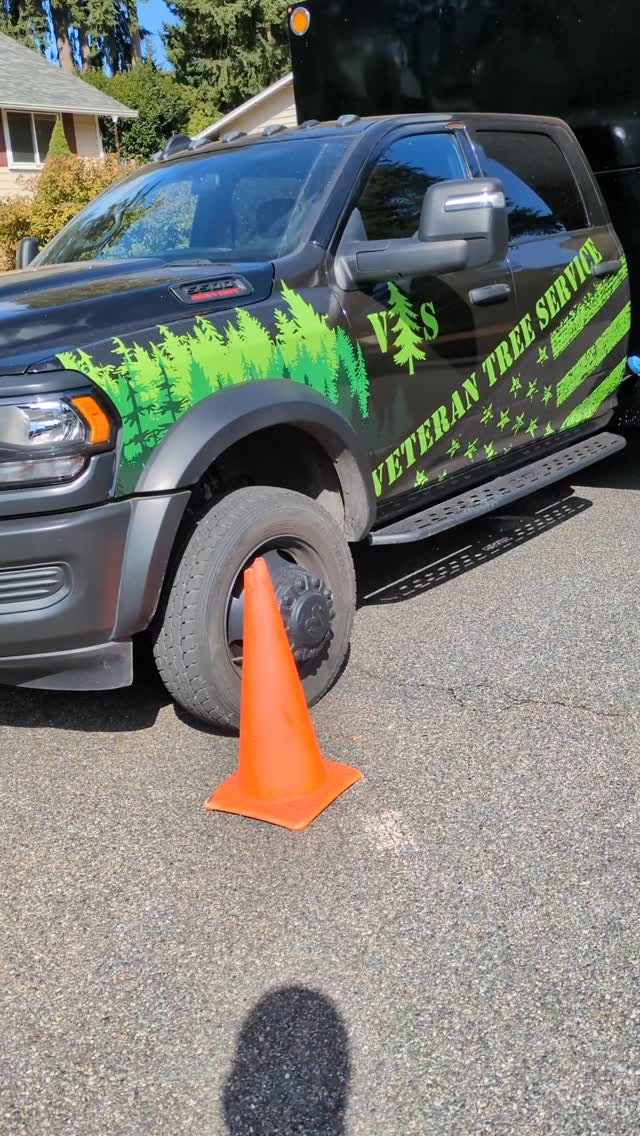 Veteran Tree Service, LLC | Lacey WA