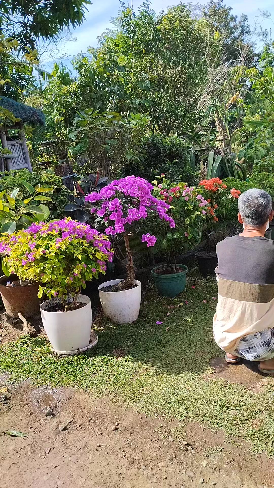 Annalyn Hernandez Garden 💐 #follower #Godblesseveryone | Annalyn GC ...