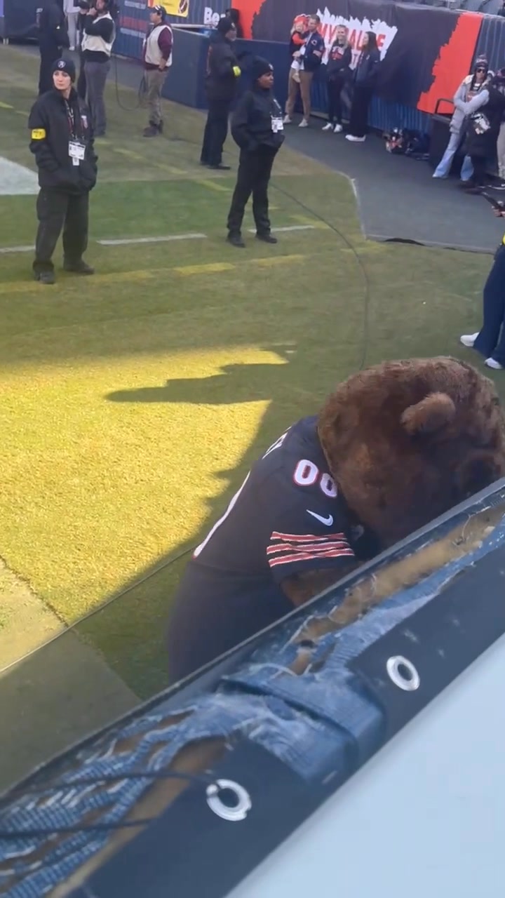 NFL - Chicago Bears Group | Staley was on the prowl | Facebook