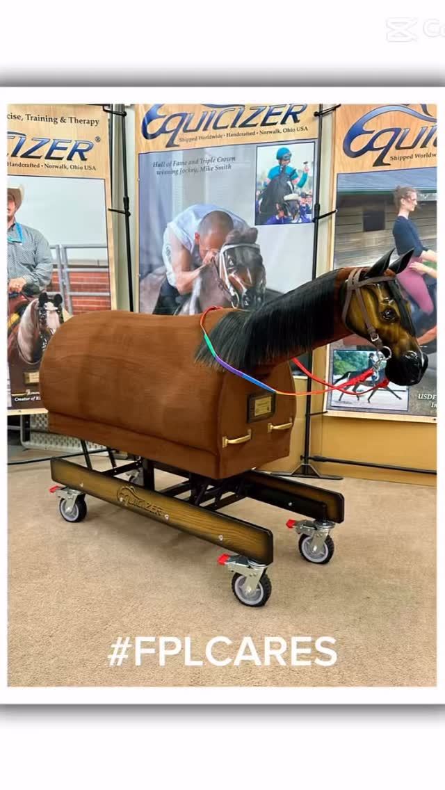 Our adaptive riding program gained a new herd member THANKS to Florida ...