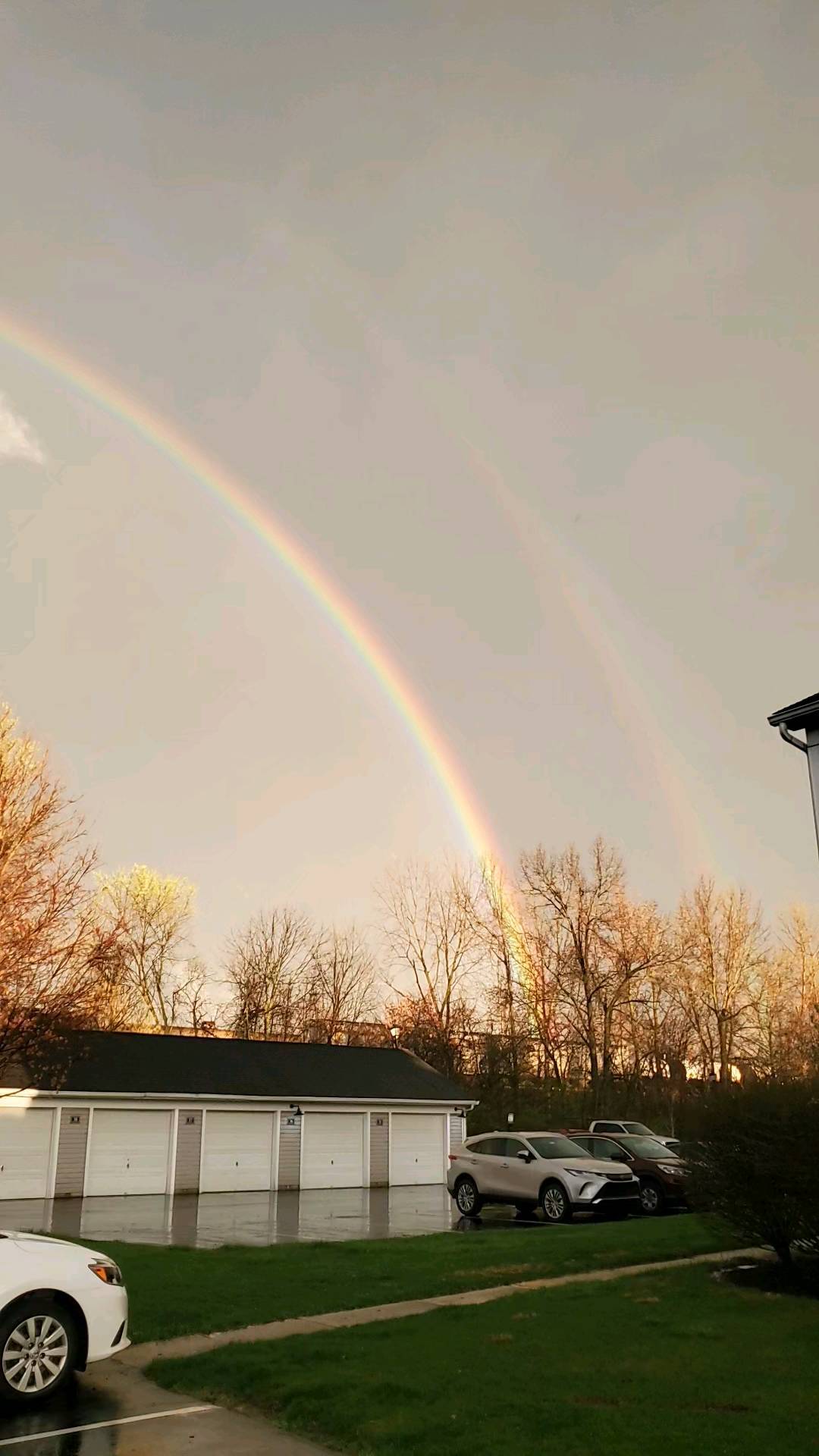 Another lovely shot of Thursday evening's double rainbow, this one