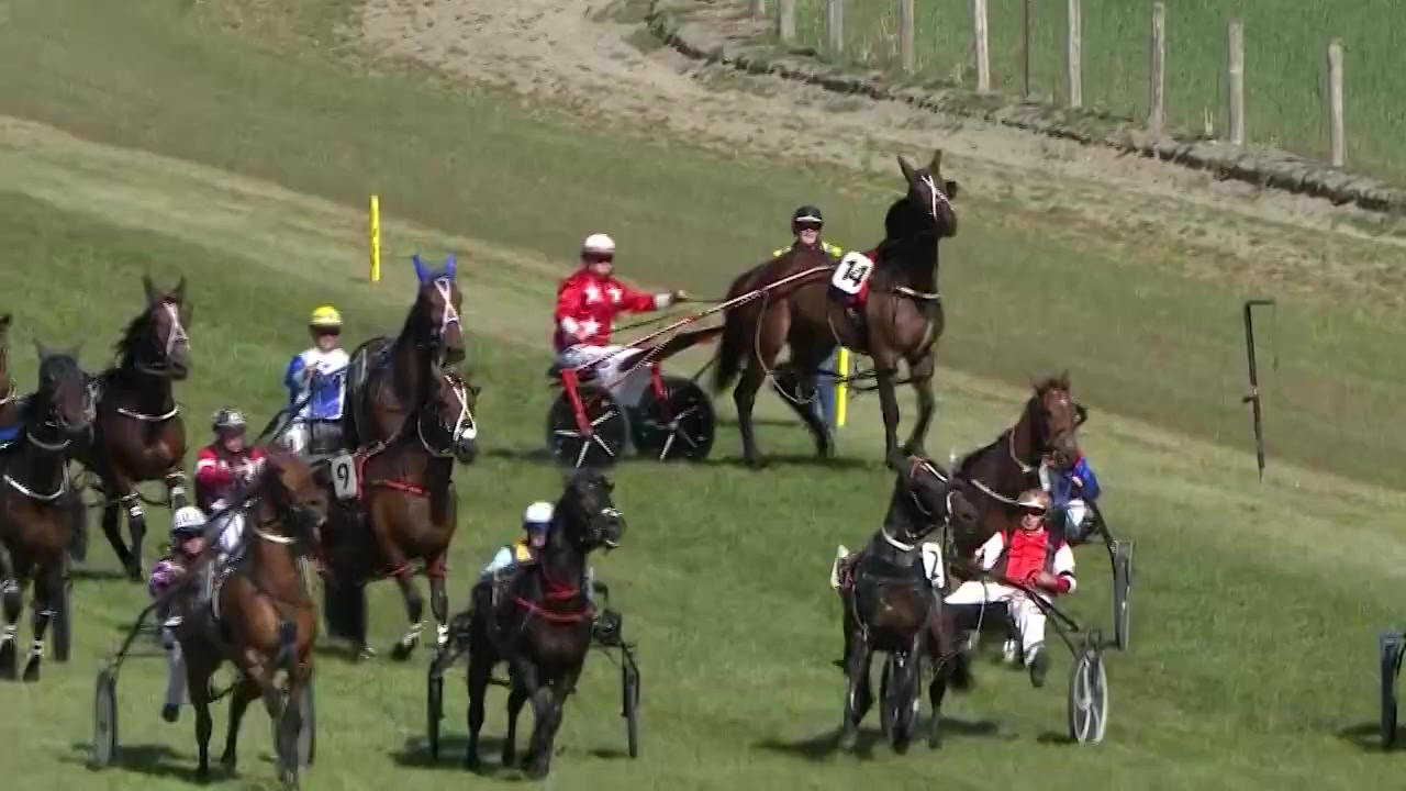 🎥 Check out the 2022 Alabar Farms Methven Cup! 🥇 Smiffy's Terror Driver ...