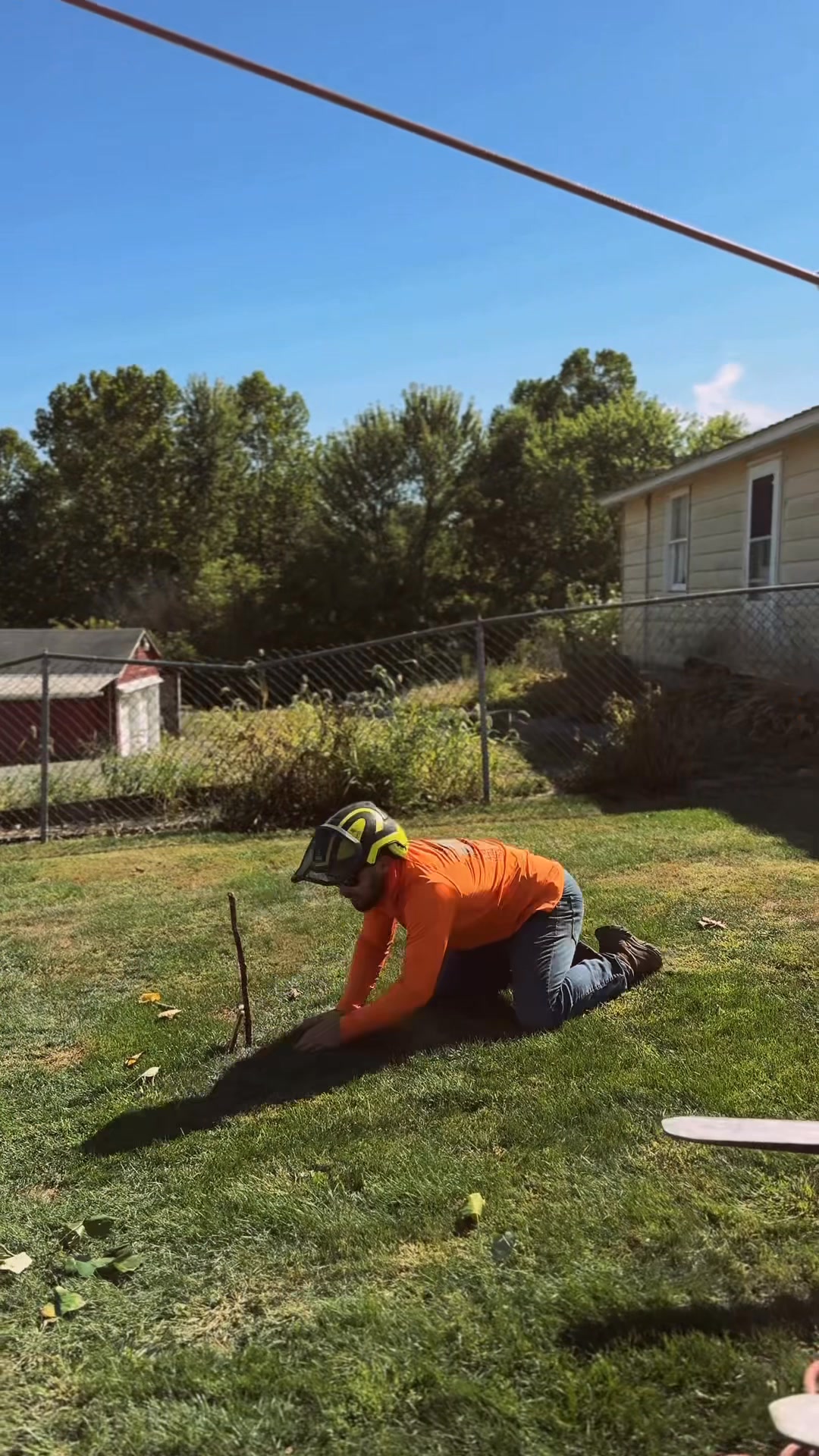 Meet the Dream Team... of Tree-Mendous Tree Care! 😂🌳Get ready to giggle ...