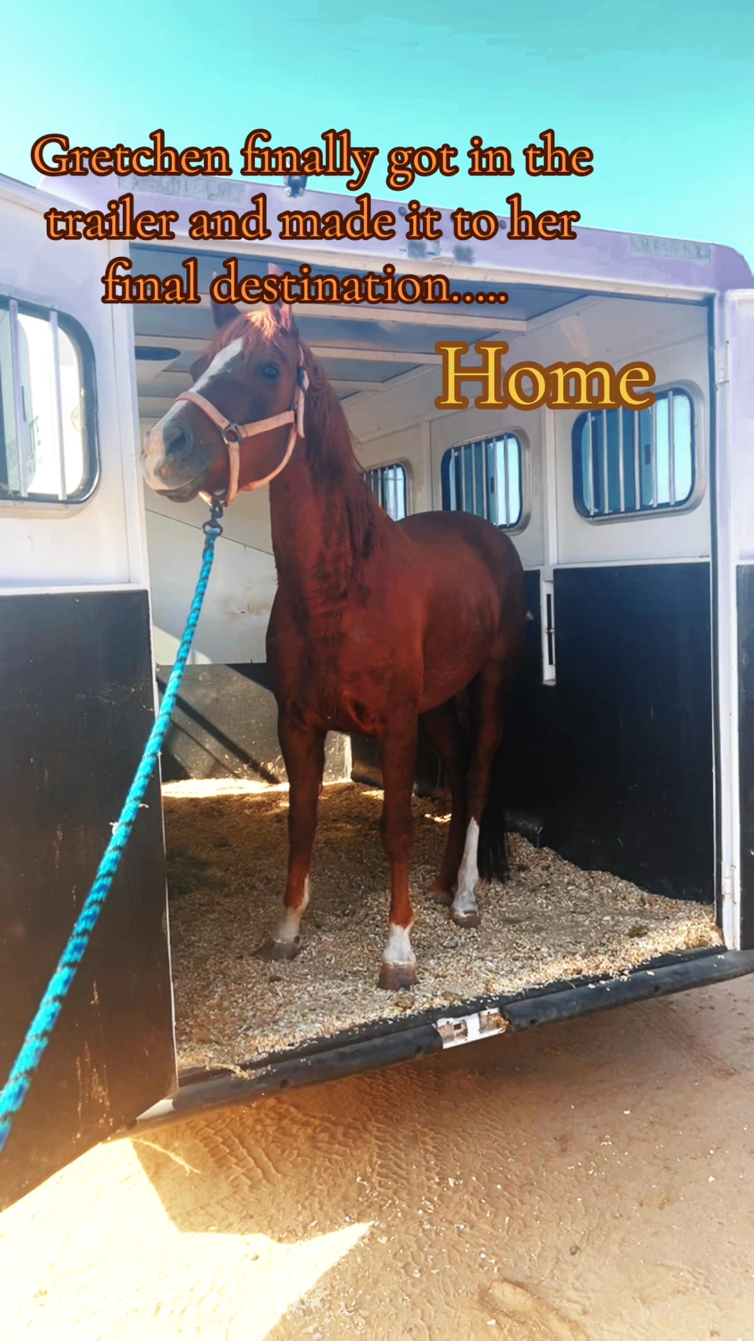 Rapture's Horse Rescue Foundation | Lakeside CA