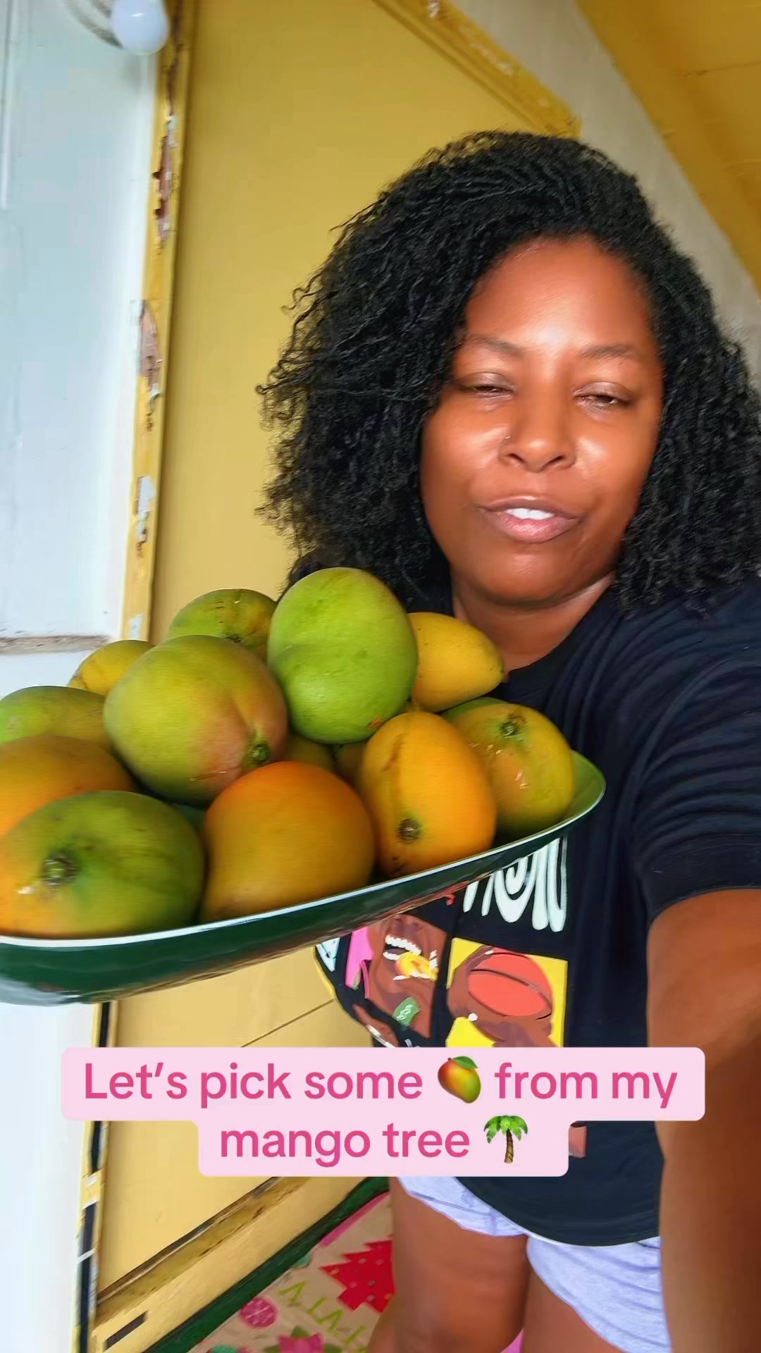 Mango tree life! I love it here #mango #islandlife #islandvibes #yum ...