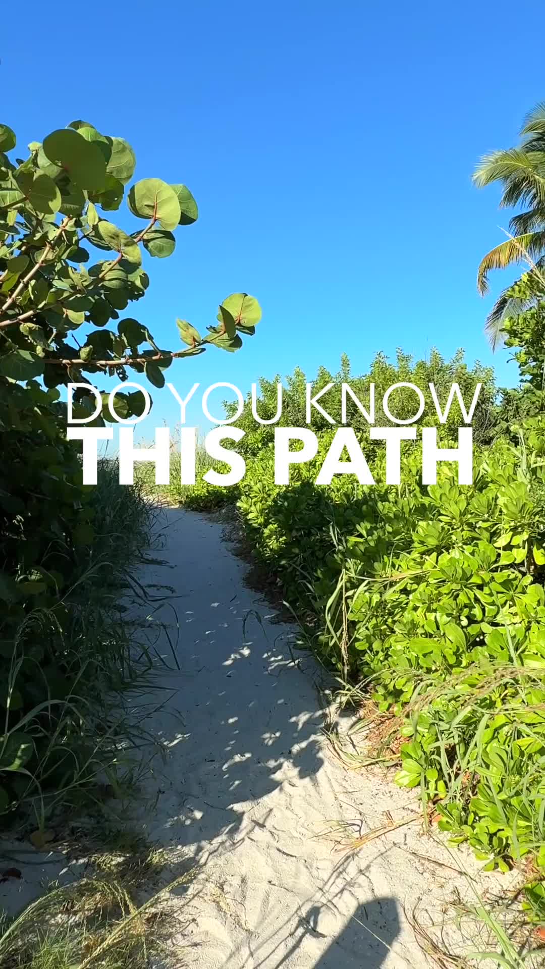 We've got another one of your favorite beach paths! Do you know where ...