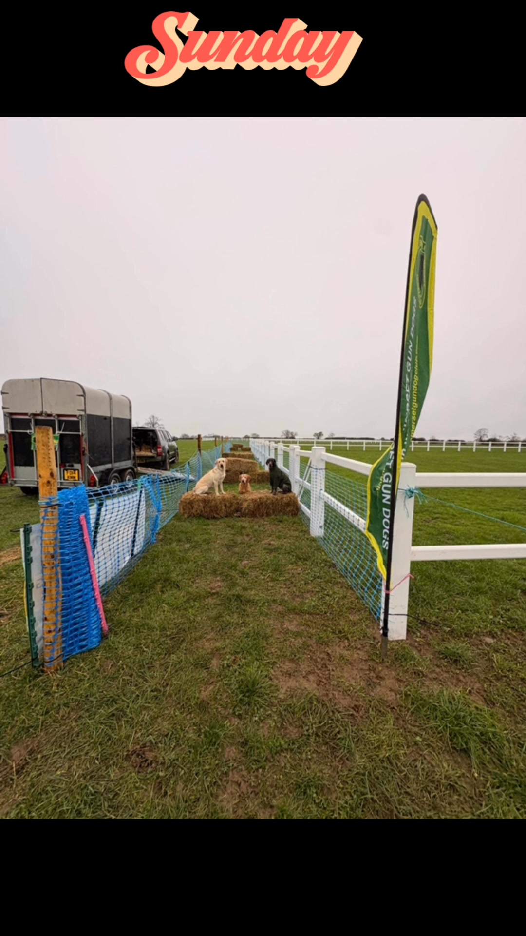 Today myself and the girls headed off to the show to do the gundog ...