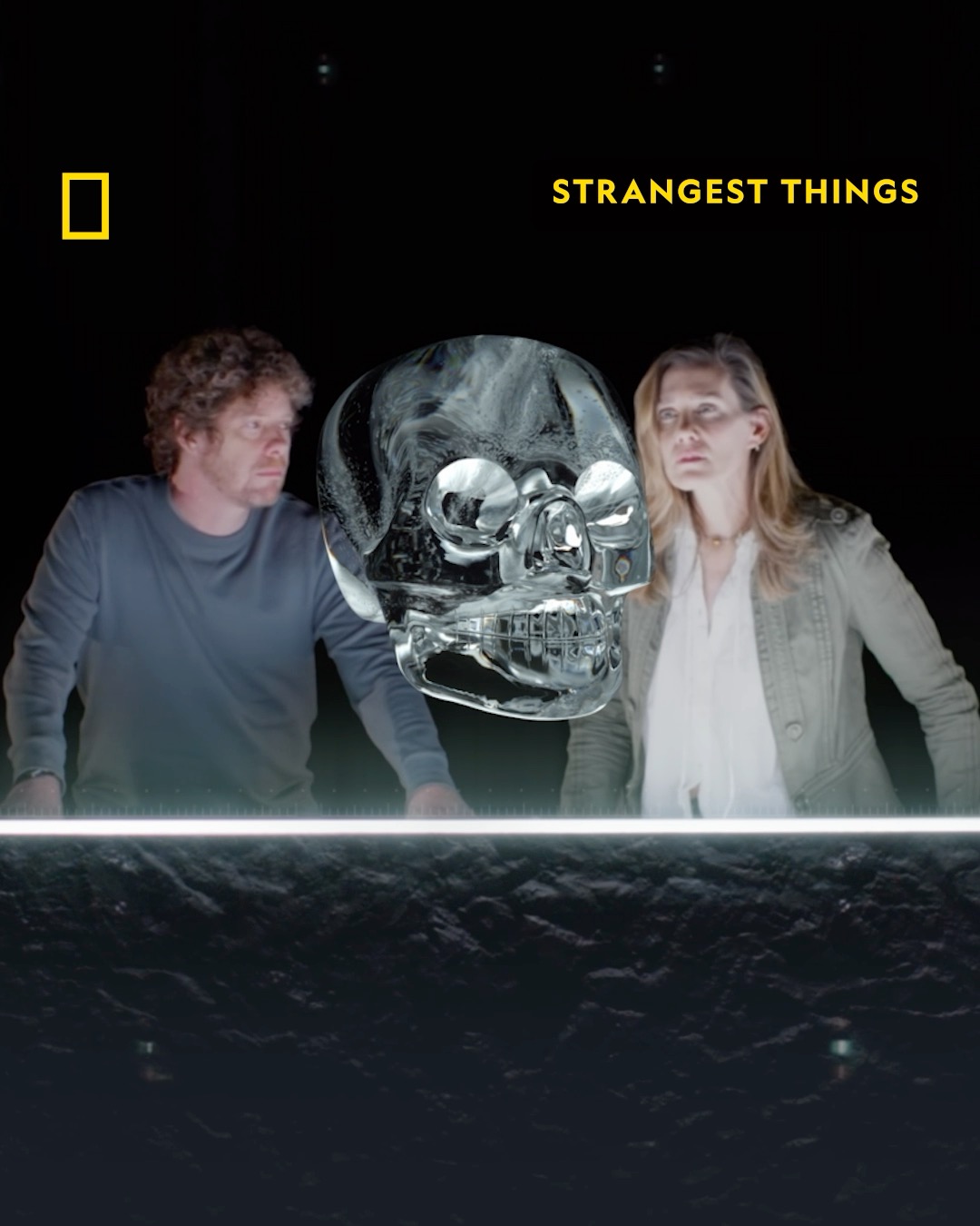 Deep inside museums and labs hide some of the world’s most remarkable ...