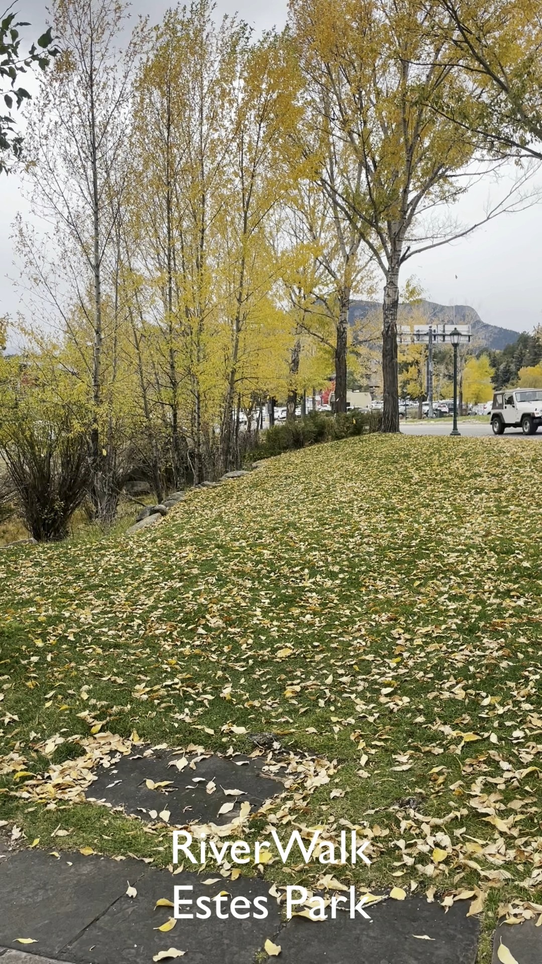 🍁 Last Call for Fall in Estes Park! 🍂 If you’ve been dreaming about ...