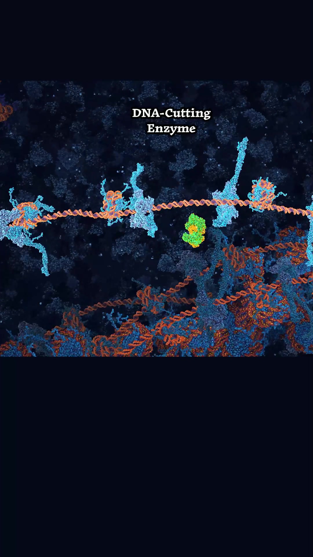 Aeon - This animation by celebrated biomedical animator... | Facebook