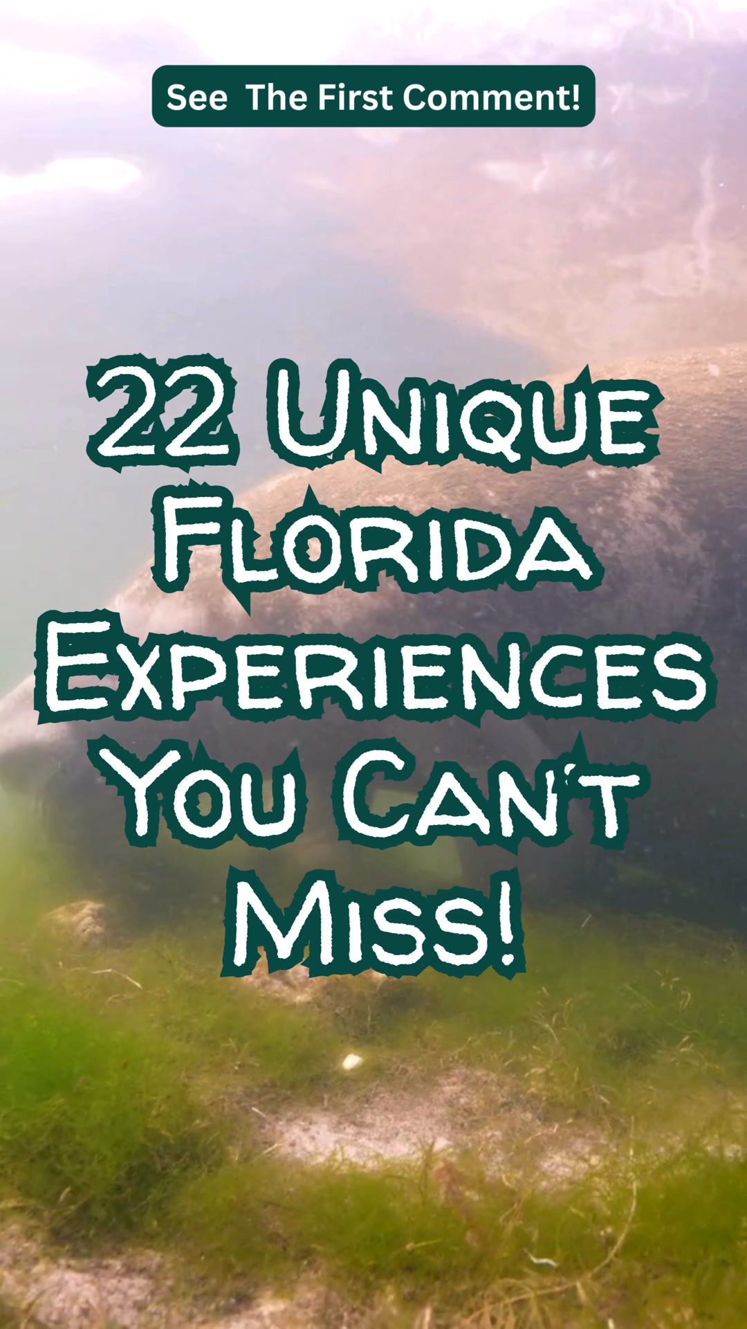 22 Unique Florida Experiences to Add to Your Bucket List. Full list in ...